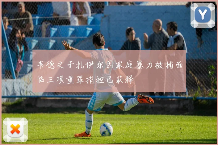 韦德之子扎伊尔因家庭暴力被捕面临三项重罪指控已获释
