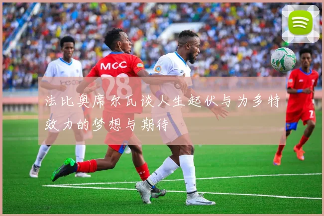 法比奥席尔瓦谈人生起伏与为多特效力的梦想与期待