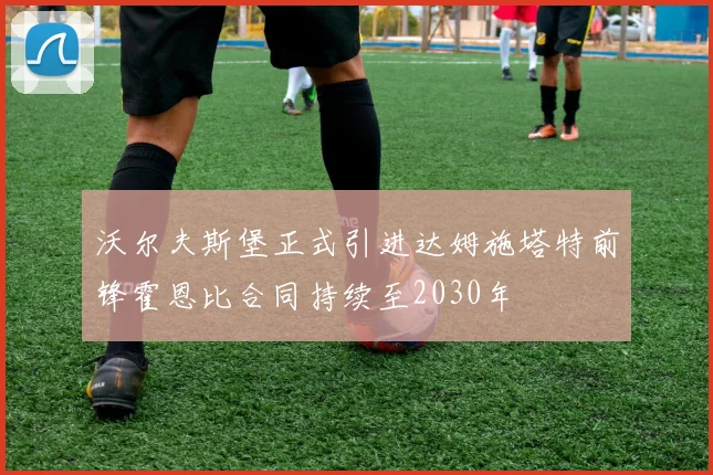 沃尔夫斯堡正式引进达姆施塔特前锋霍恩比合同持续至2030年