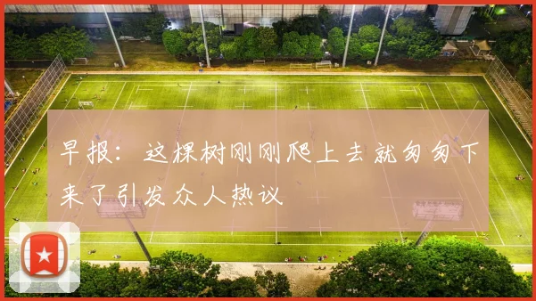 早报：这棵树刚刚爬上去就匆匆下来了引发众人热议